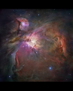 Hubble Orion