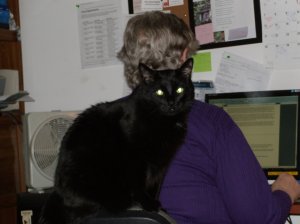 . . . and the Pulitzer goes to _________