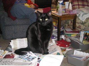 Eddie Planning the Trip